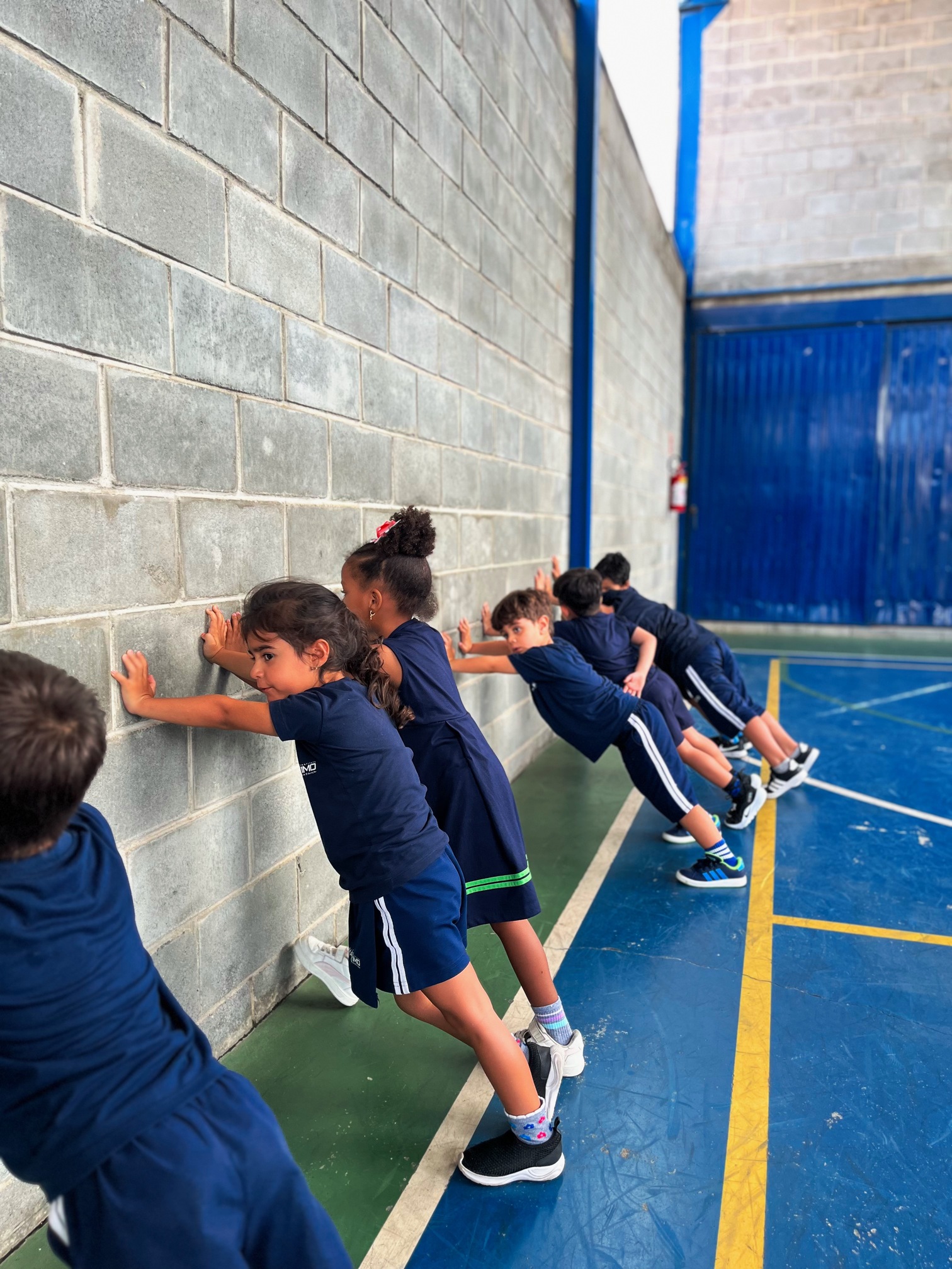 Crossfit Kids - Atividades Físicas na Educação - Jacareí - Instituto Máximo de Educação